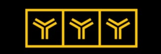 YYY