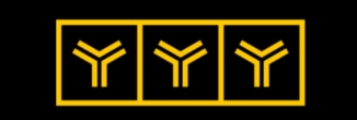 YYY