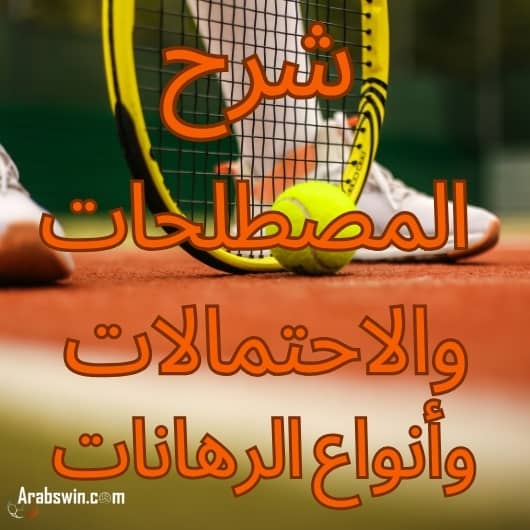 مضرب التنس والكرة واللاعب - شرح المصطلحات والاحتمالات وأنواع الرهان لفهم نصائح الرهان بشكل أفضل.